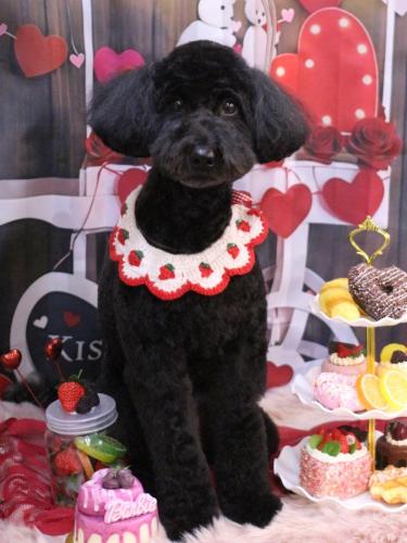 20250215アロちゃん